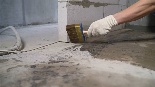 24/7 Emergency Basement Waterproofing experts in Camas, WA